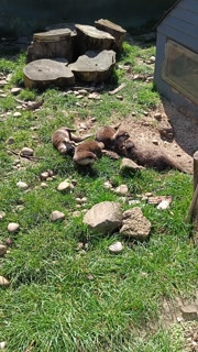 VID20260406121206.mp4