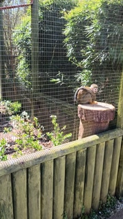 VID20260406123015.mp4